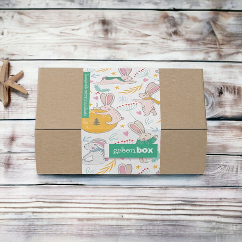 Greenbox Christmas Shinny