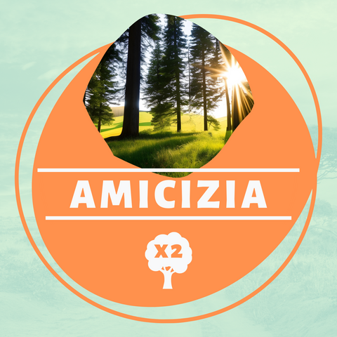 Amicizia