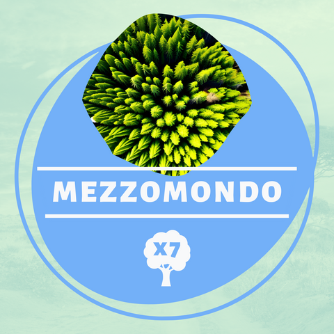 Mezzomondo