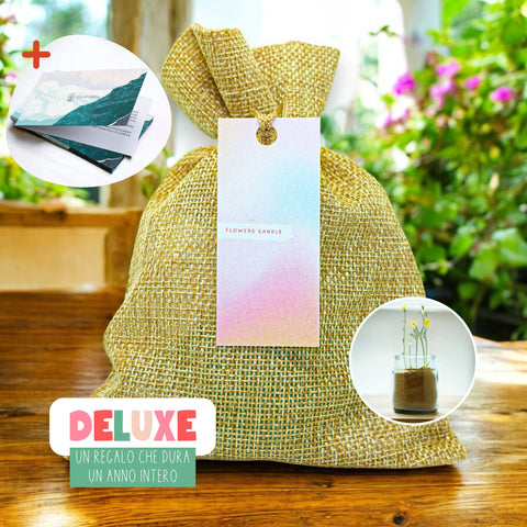 Flowers Candle Deluxe
