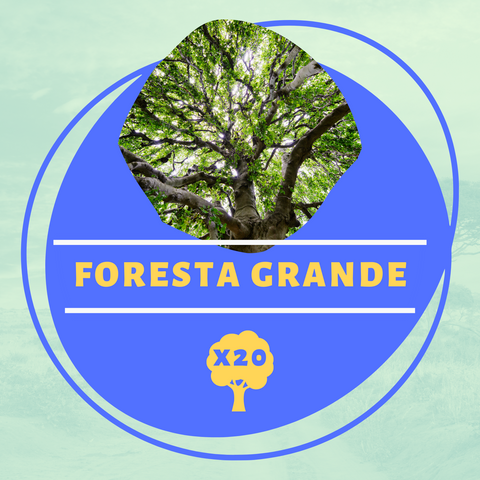Foresta Grande