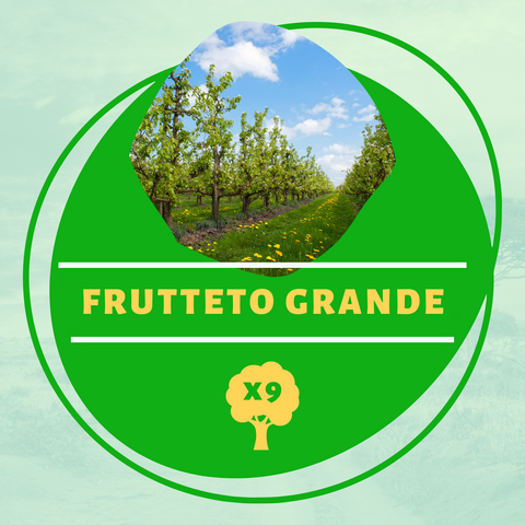 Frutteto Grande