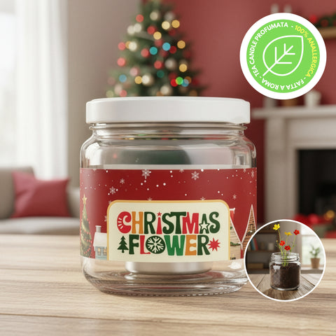 Christmas Flower Joy