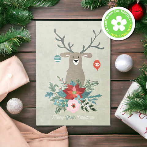 Pacchetto Christmas Friends