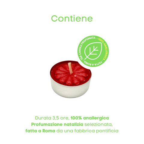 Christmas Flower Joy