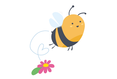 Hellobee Orange