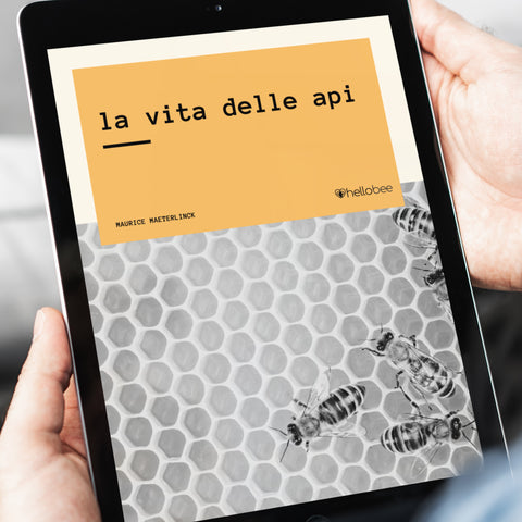 Adotta le Api - Modica - Premium