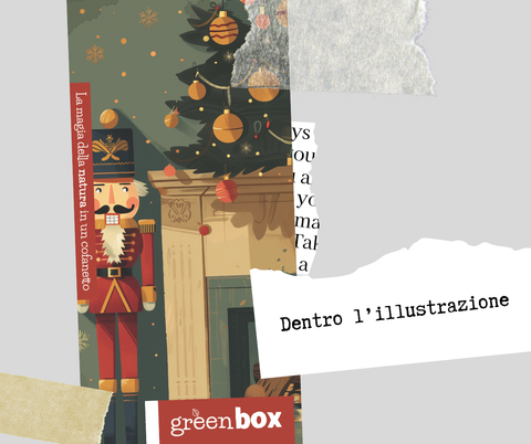 Greenbox Schiaccianoci