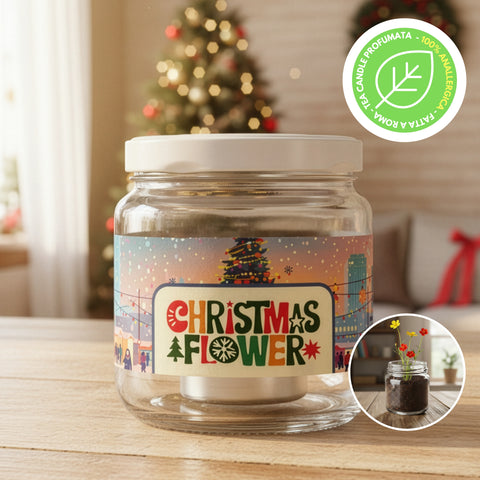 Christmas Flower City