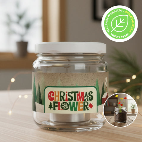 Christmas Flower Winter